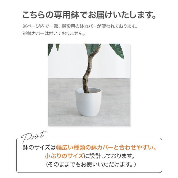 【高さ130cm】光触媒人工観葉植物 ユーカリ