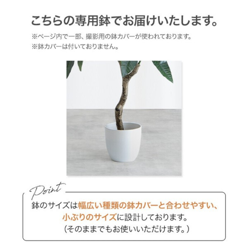 【高さ125cm】光触媒人工観葉植物 オリーブ